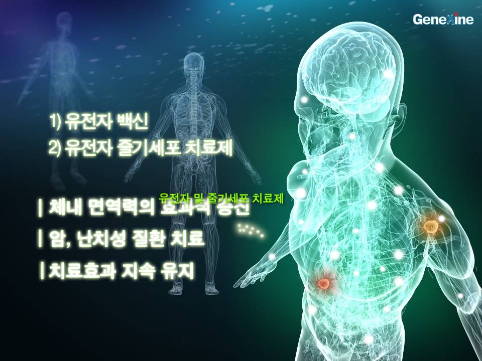 제넥신 홍보 자료 이미지 3